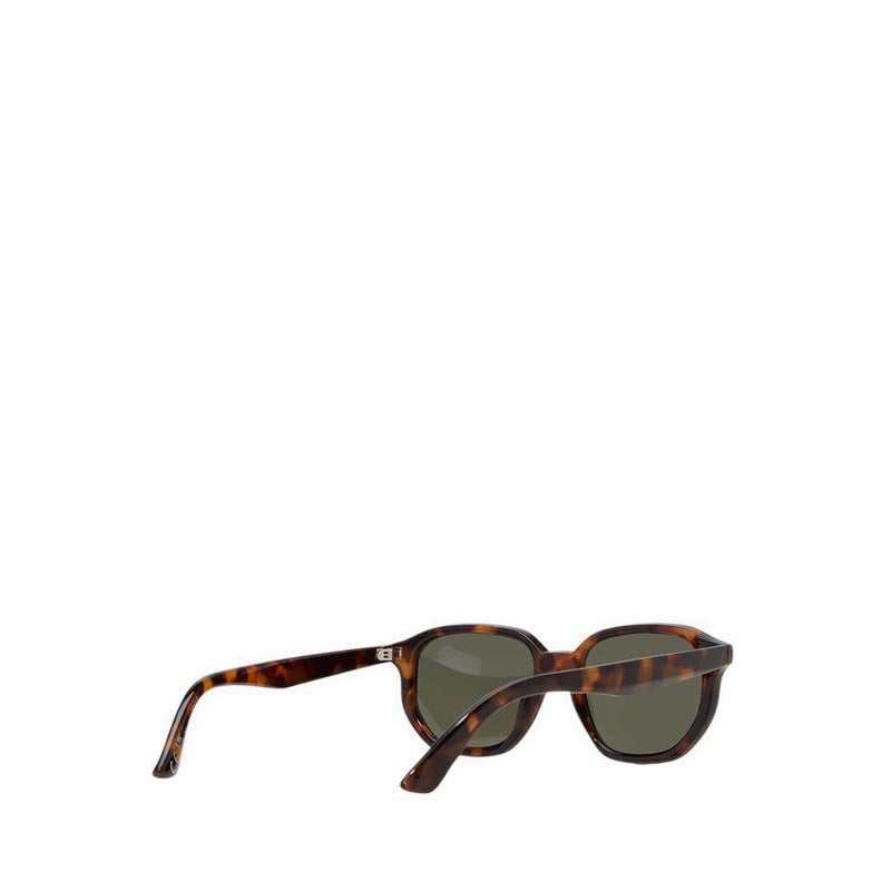 Raywien Men's Sunglasses - Other Brown