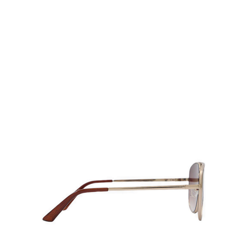 Aldo Dyaana Women's Sunglasses Brown