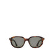 Raywien Men's Sunglasses - Other Brown