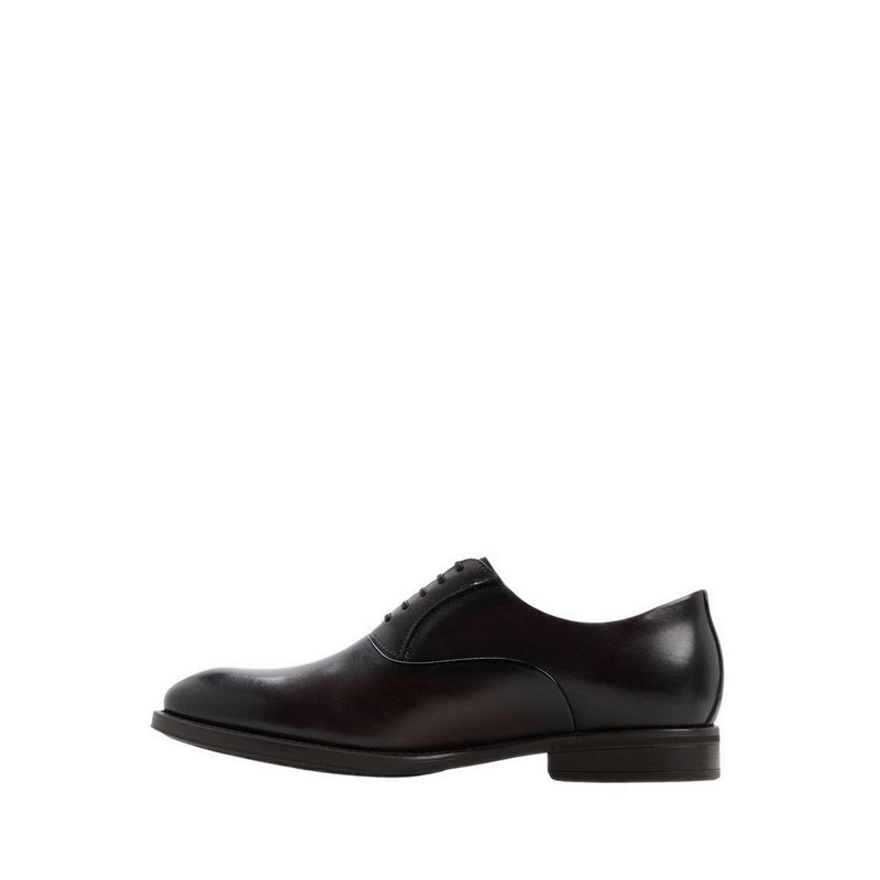 Santino Men's Lace Up Shoes - Dark Brown