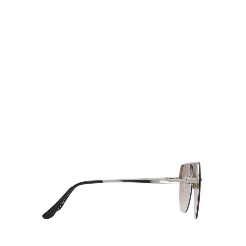 Aldo Michaele Men's Sunglasses - Silver