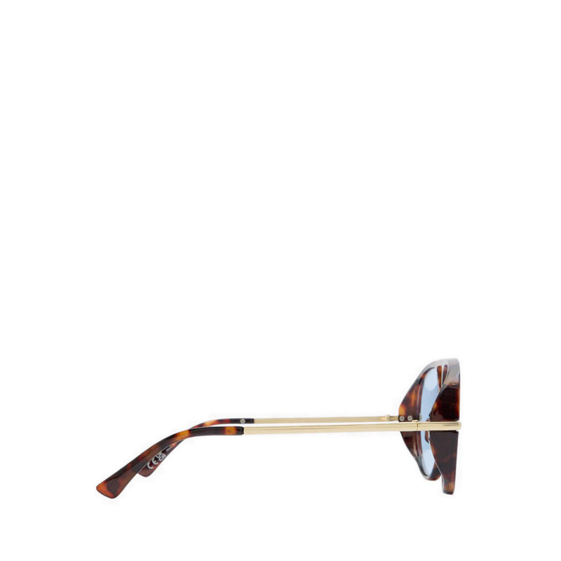 Aldo Eliiana Women's Sunglasses - Brown