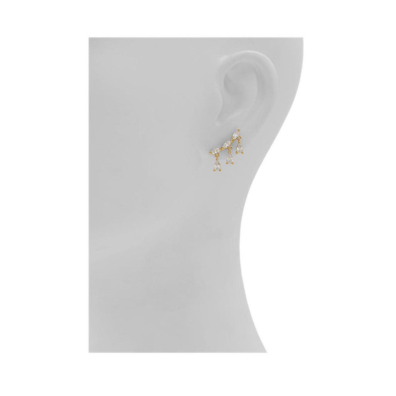 Aldo Sheree Women's Earrings - Gold/Clear Multi